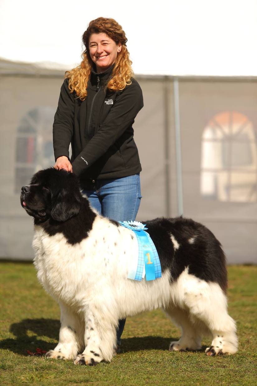 30074276_10160202562840228_1642843370_o