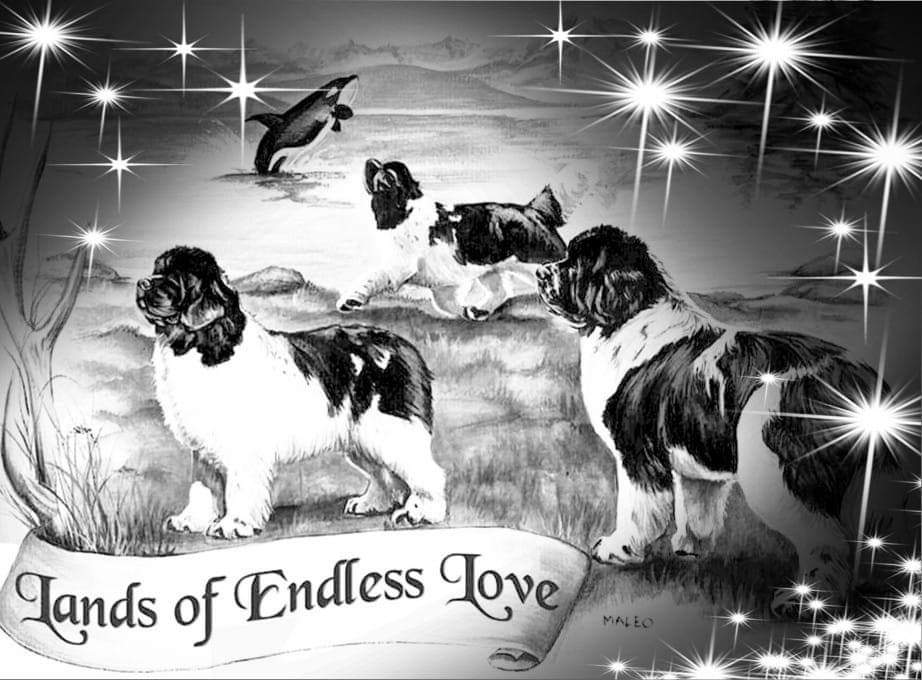 FB_IMG_1577021753320